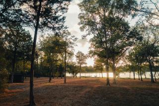 Premium Lakefront Cabin 1 The Armadillo - 1