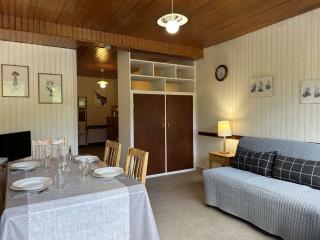 Studio confortable pour 4 à Montgenèvre avec casier à skis, proche commodités. - FR-1-330D-96 - 2