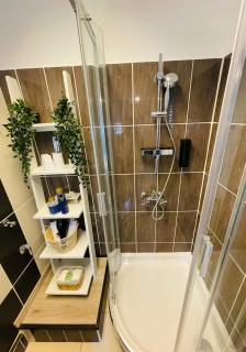 Alpesi Apartman Downtown - 3