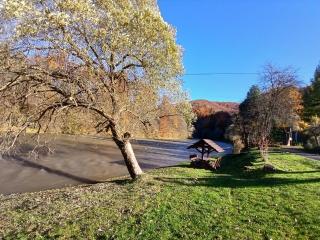 Domki "Nad Rzeką Solinką" Tomasz Pasławski - 8