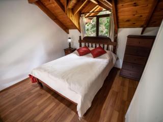 Tríplex Vla Pax 4 Céntrica - 9