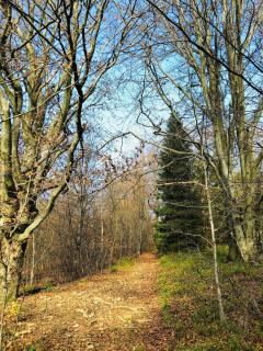 Ustroń Riverside & Mountain View - 2