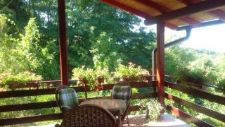 Holiday Home Nina Petrinja - 1