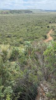 Embibi Campground, Cabin and Retreat - 8