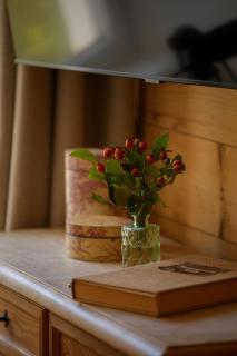 Altes Forsthaus - Fewo "Wiesental", privater "Spa" mit Sauna, Wanne und Relaxliegen, Todtnau- Feldberg - 5