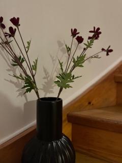 Lilla röda huset - 9