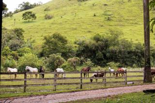 Hotel Fazenda Jurea Super conforto e HIstória - Local de gravação Novela Escrava Isaura - 7