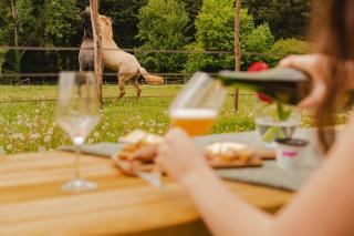 Parcel Tiny House I Elevage du Puits Carré - 2