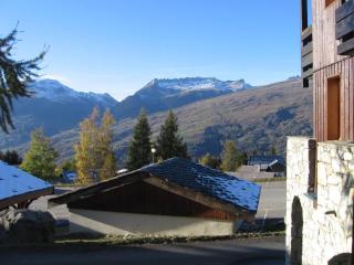 Studio accessible 4 pers, balcon sud-ouest, animaux admis - FR-1-353-45 - 1