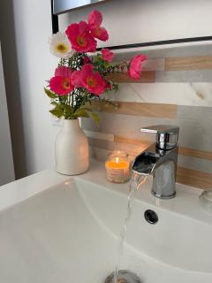 Les Hirondelles B - 9