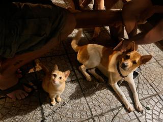 Homestay COAST HOUSE - 3