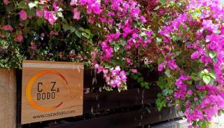 Le Dodo Salé - L'Étang-Salé - 9