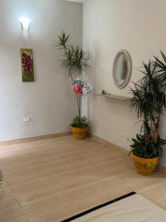 Casa Patio Andaluz - 8