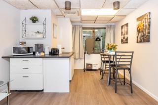 King Bed Studio Apartment - Near Chinatown - 9