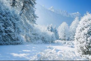 Experience Mont Blanc with your family - 4