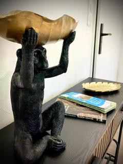 Jungle Suite - Draguignan - 5