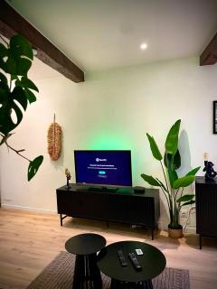 Jungle Suite - Draguignan - 9