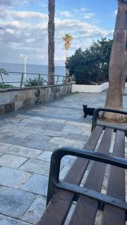 NATURAL CONFITAL BEACH - 8