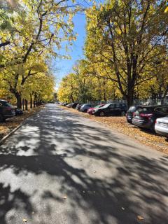 Apartment Capital Town Novi Sad - 9