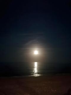 Marinador Josmar - Oropesa - 4