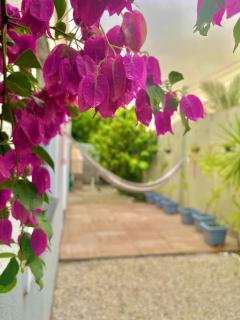 Luxury House - Condominium - 9