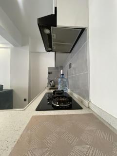 Entire Apartment 1BR with Gym & Parking 12th Flr - 9