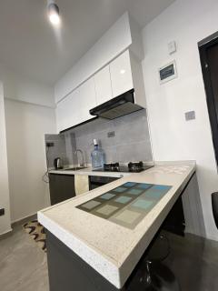 Entire Apartment 1BR with Gym & Parking 12th Flr - 4