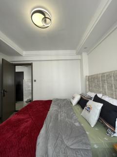 Entire Apartment 1BR with Gym & Parking 12th Flr - 3