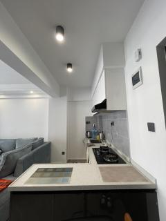 Entire Apartment 1BR with Gym & Parking 12th Flr - 1