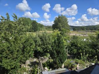 Stunning luxurious house with a beutiful botanical garden - 9