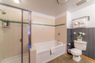 Posh Village 2/2; Ski-In/Out + Premiere Perks! - 4