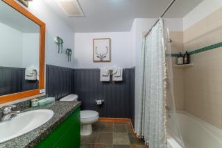 Posh Village 2/2; Ski-In/Out + Premiere Perks! - 2