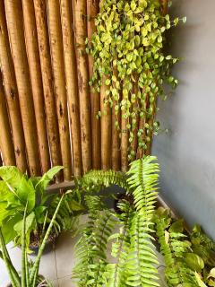 Suíte Lençóis - 9