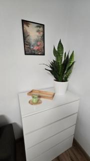 Xela Apartment -  - 3