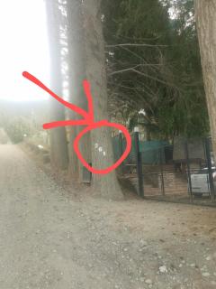 Casa en Bariloche - 3