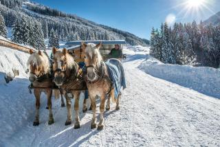 Apartment Wildauer - 3