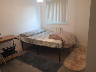 Ensuite Riverside Room in Canary Wharf Shared Apartment - 9