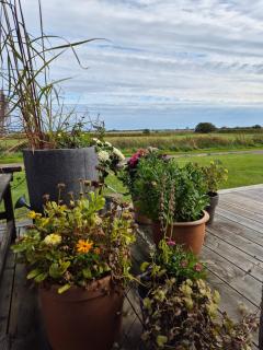 Newly built accommodation close to sea & nature, Varberg - 3