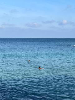 Apartment Matedo - Casa Matedo - 4