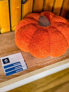 Modern CONTRACTOR DEALS 2 Bed Apartment Portsmouth Sleeps 4-6 Fast WiFi Parking - 2