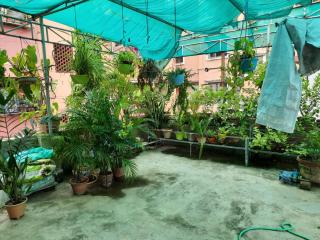 Perfect for Homely Atmosphere - 3