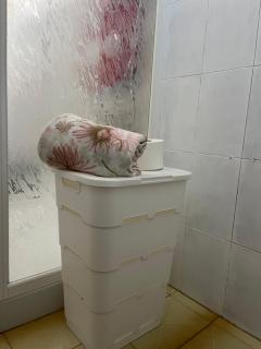 Apartment Matedo - Casa Matedo - 8