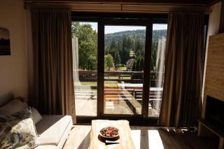 Mountain house Popović Tara - 1