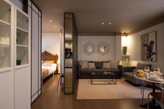 Central Designer Penthouse with Private Terrace - 8