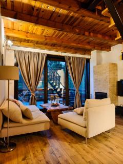 Mountain house Popović Tara - 1