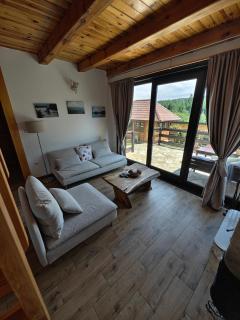 Mountain house Popović Tara - 2