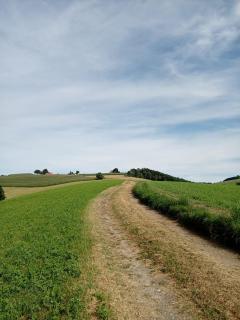 Panoramablick Bucklige Welt - 8