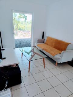 Charming F3 apartment with pool - 7