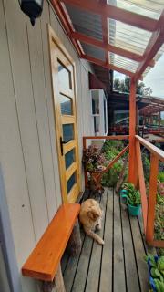 Habitación con vista al mar - 5