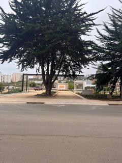 Papudo, Tus vacaciones soñadas!!! - 8